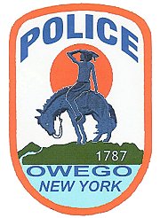 Owego Police Department – Dissolution Survey