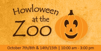 Howloween at the Binghamton Zoo