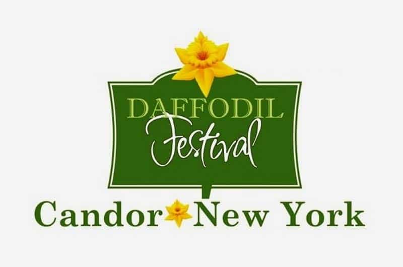 Candor Daffodil Festival accepting vendor applications
