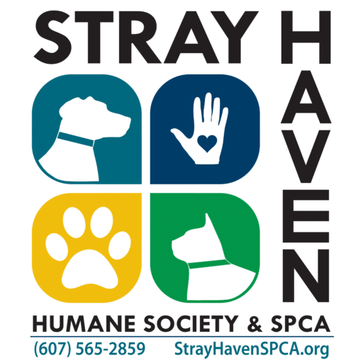 Wide variety of classes currently offered at Stray Haven Humane Society & SPCA