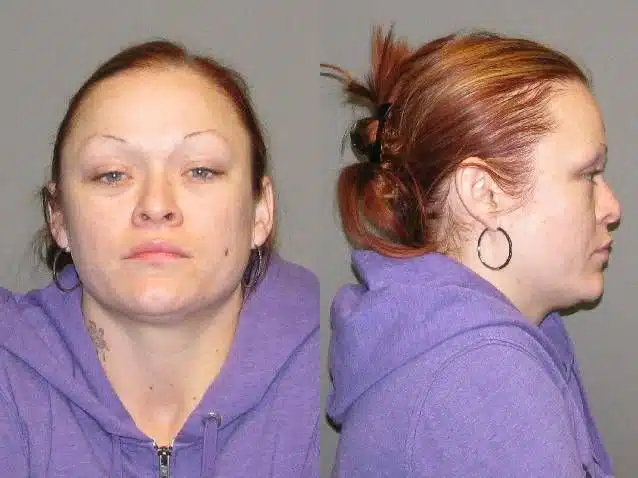 Man, woman get 14 felonies after Binghamton search