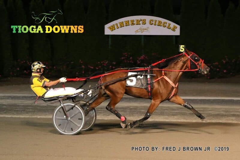 Miss Flora Wins Racing Season Finale at Tioga Downs