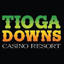 Tioga Downs to kick off harness racing season next weekend