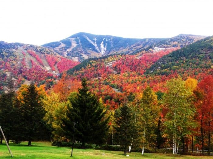 Fall foliage emerges across Adirondacks, Catskills and Thousand Islands-Seaway