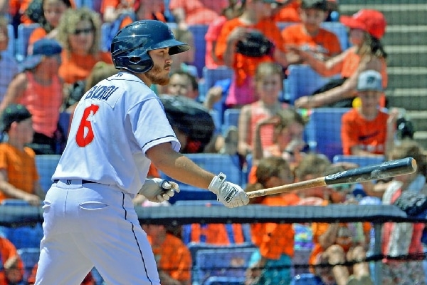 Rep. Brindisi Supports U.S. House Resolution to Save Rumble Ponies