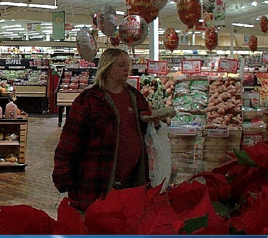 UPDATE: NYSP Arrest Woman who Used Stolen Credit Card at Weis