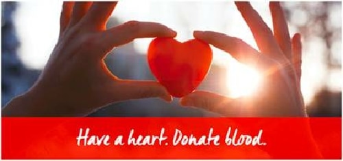 Red Cross Needs Donations at Upcoming Blood Drives in Owego