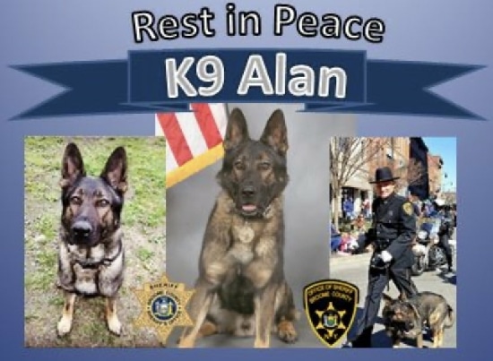 Broome County Sheriff’s Office Mourns Death of Deputy Sheriff K9 Alan