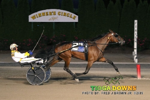 No Fans When Harness Racing Reopens at Tioga Downs on Sunday with 12 Race Card