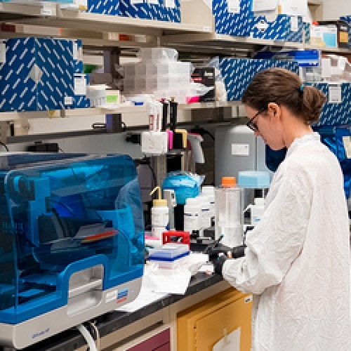 Five Months After First Confirmed Case, NY Does Highest Daily COVID-19 Testing