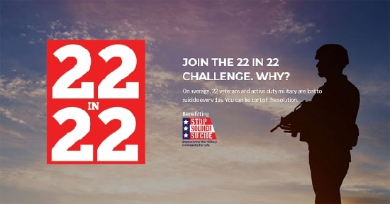 Tioga County Veterans Service Agency Displays ‘Field of Forgotten Fallen’