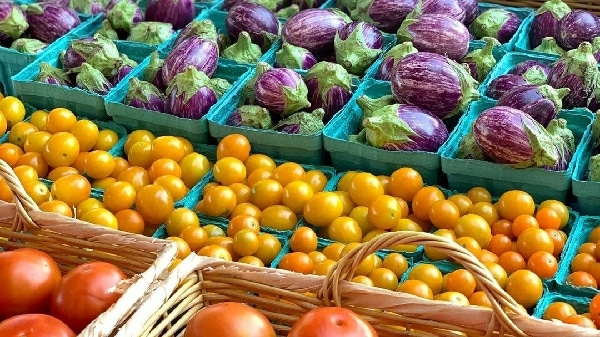 Tioga Opportunities has Farmers’ Market Coupons available for older adults