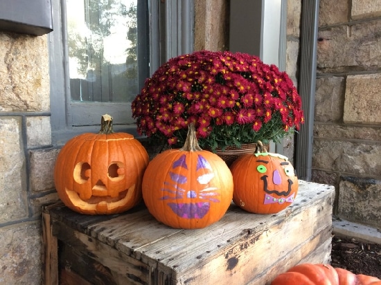 To Trick or Not to Treat on Halloween, That Is the Question for Local Governments