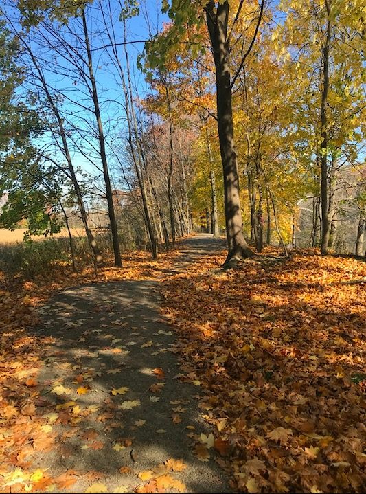 COVID-Fatigued Residents Find Refuge on Diahoga Trail in Sayre and Athens