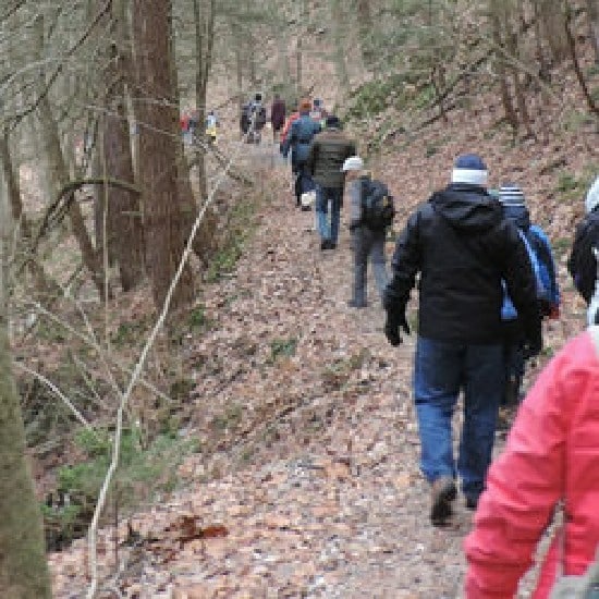 New Yorkers Encouraged to Celebrate New Year in the Outdoors at Tier State Parks