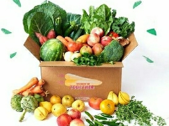 United Way offering weekly free fresh produce boxes to Bradford County nonprofits