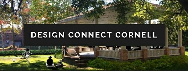 Village of Owego schedules meeting and asks for public input on North Avenue Park