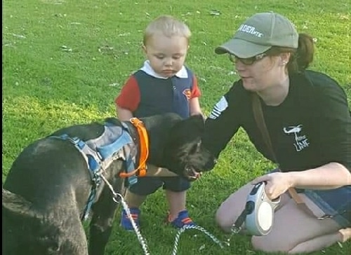 Towanda gets state grant to develop recreational plans for three municipal parks