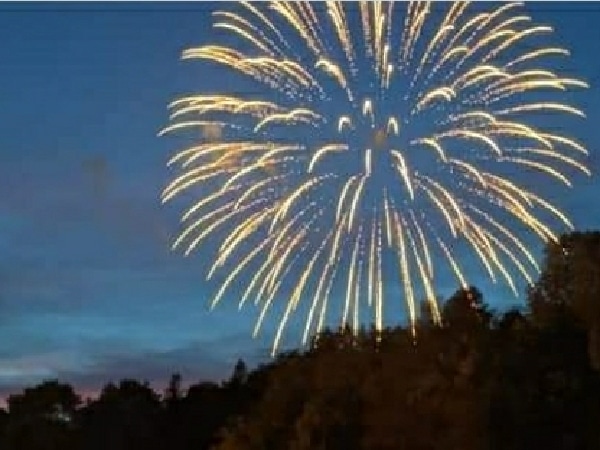 Newark Valley Summerfest returns on July 31 at Village Green and Newark Valley Depot