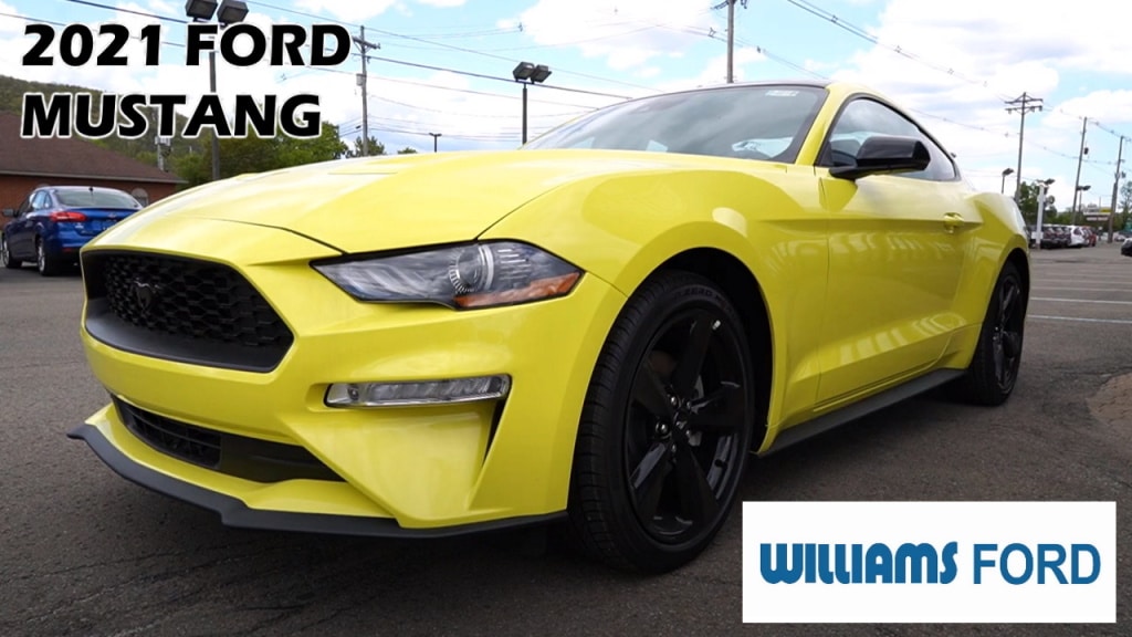 2021 Ford Mustang at Williams Ford