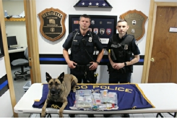 K9 Maggie alerts Owego police to narcotics at traffic stop, Owego resident charged