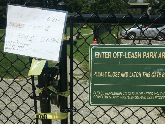 ‘Dog Daze of Summer’ planned Saturday at Hickories to benefit dog park and police K9