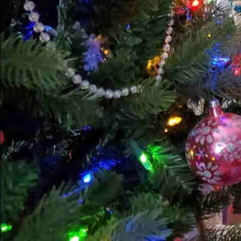 Sponsor and Decorate a Tree for Sayre Annual Contest