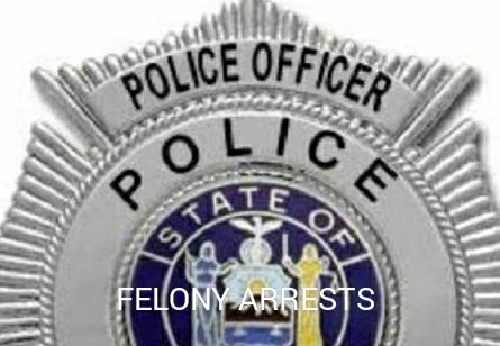 Owego police, other law enforcement agencies make felony arrests