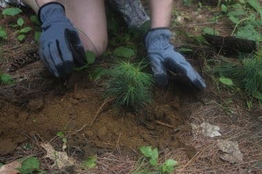 Earth Day Weekend Events Planned for Tioga, Broome and Bradford Counties