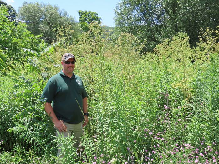 Farmers and residents in Tioga County, Pa., warned of the dangers of poison hemlock