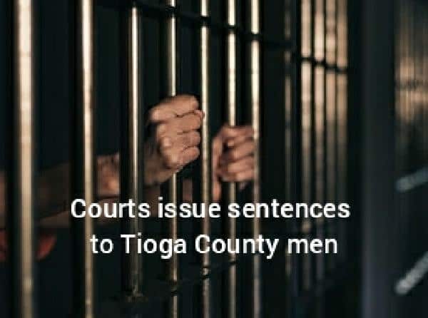 PA and NY county court judges sentence Candor and Newark Valley men to terms