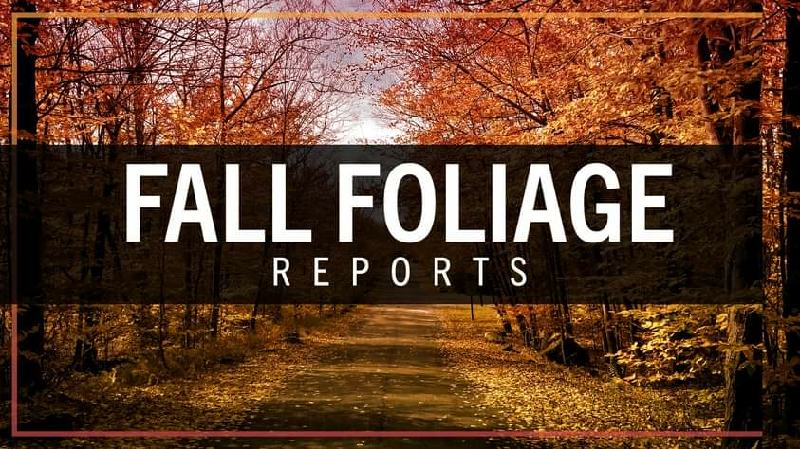 Pennsylvania has long and varied history of fall foliage with brilliant autumn colors