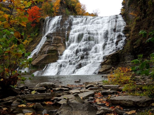Man Attempting to Take Photo at Ithaca Falls Dies From Injuries Sustained in Fall