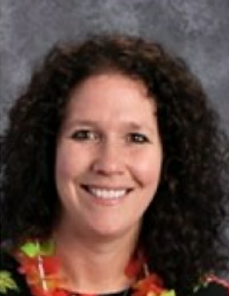 Troy Area School District elementary school teacher dies in weekend vehicle crash