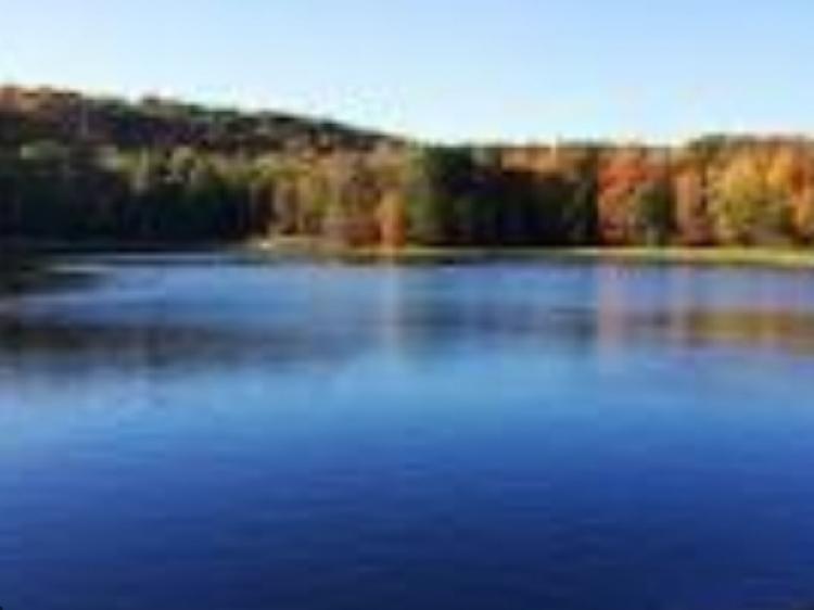 Endwell man drowns while fishing at Newark Valley pond; fishing buddy rescued