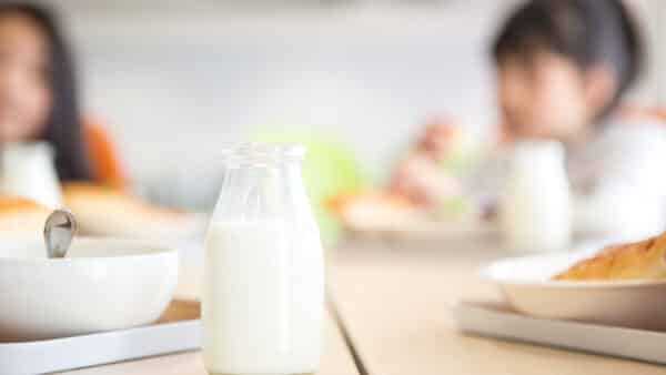Bradford Sen. Yaw urges USDA to allow whole and 2% milk in schools