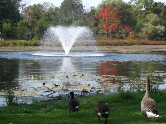 Nichols Park Pond in Spencer receives grant from Mildred Faulkner Truman Foundation