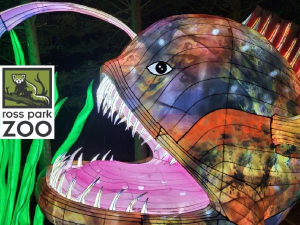 Ross Park Zoo hosts ‘Feast for Beasts’ plus Conservation Lantern Festival