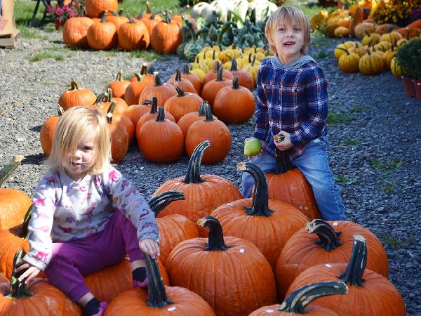 Schuyler County Farm Tour Weekend returns Sept. 29 for fourth year