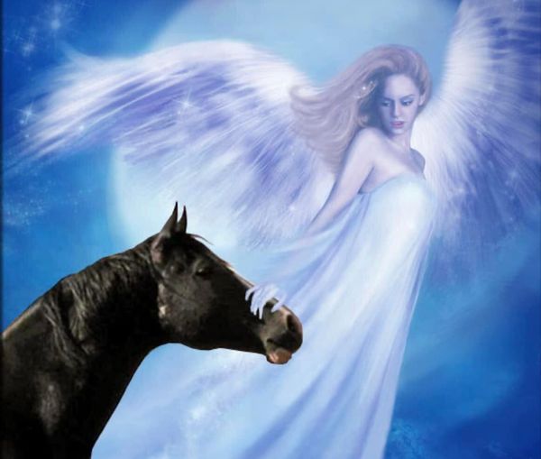 Tioga Downs mourns loss of 30 horses, will create memorial in their honor