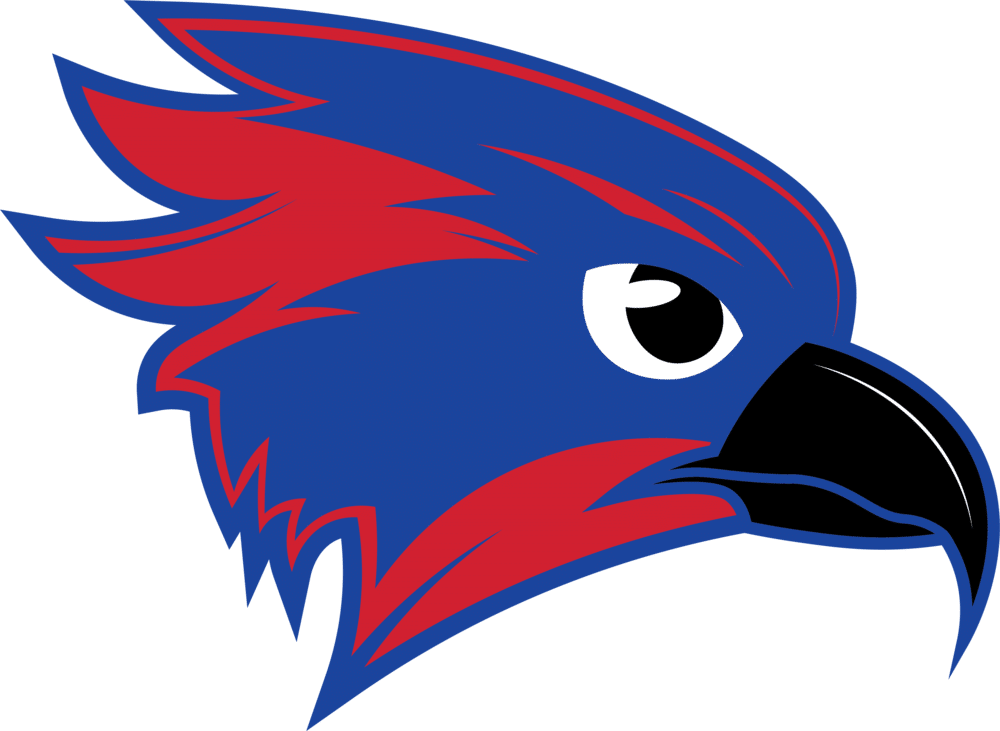 Owego Apalachin Central School District introduces exciting new River Hawks imagery