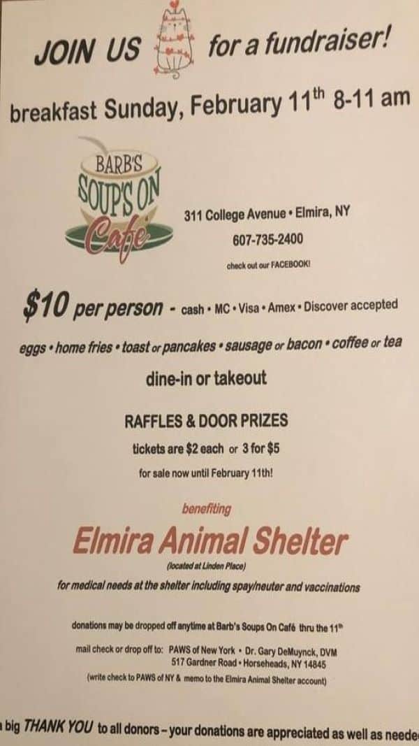 Local business hosting fundraiser for Elmira Animal Shelter