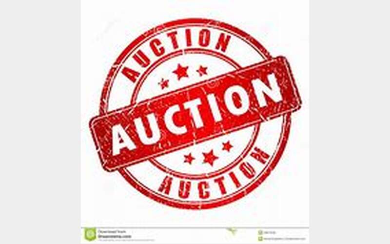 Auction to be held at former Owego Treadway Inn Conference Center