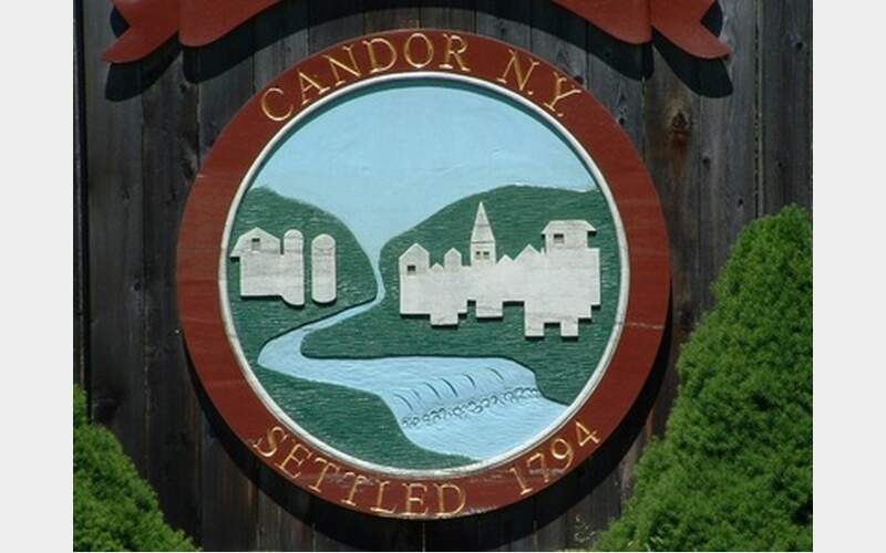 Former Candor mayor sentenced for stealing from village