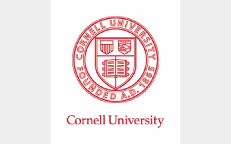 Cornell reaches deal with US government to restore federal funding