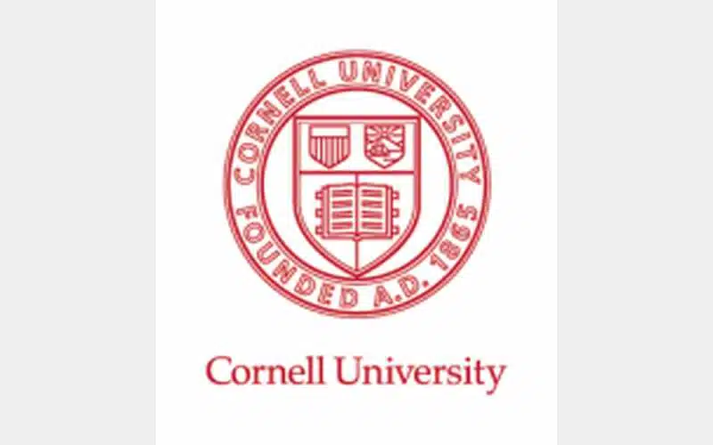 Cornell University: Two students brought bear into dorm following successful hunting trip