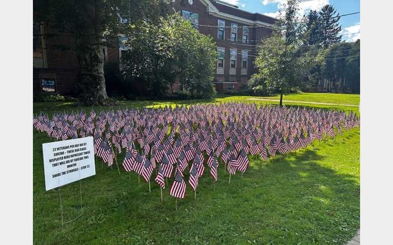 Tioga County Veterans Service Agency unveils Field of the Forgotten Fallen