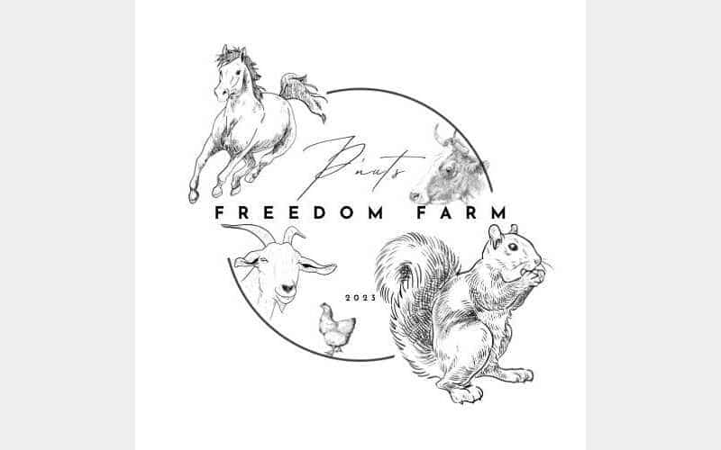 Fundraiser set for Friday in honor of squirrel who was seized, euthanized