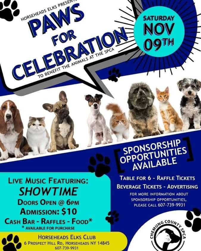 Horseheads Elks hosting benefit for SPCA