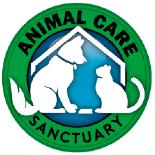 Animal Care Sanctuary sets record for spay and neuter procedures